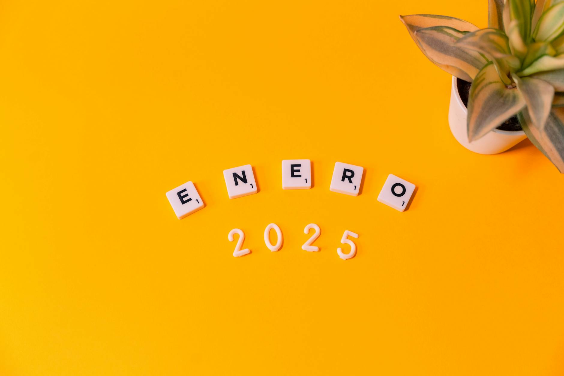 Graficzne przedstawienie budżetu Sejny 2025 z podziałem na dochody i wydatki